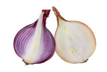 Fresh red and white onions isolated on white background  with clipping path