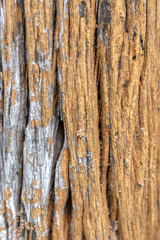 Obraz premium Old wood background Copy space, text space for advertisement