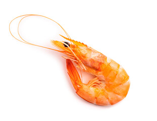 Red boiled prawn
