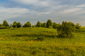 Fototapeta premium morning fog over the lake. Sunlight through the forest