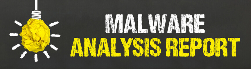 Malware Analysis Report 