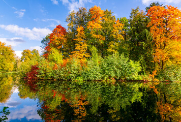 Autumn foliage in Pavlovsky park, Pavlovsk, Saint Petersburg, Russia