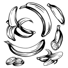 Set of various ink sketch bananas. Whole, ripe, banana slices. A tropical juicy treat. Vector outline object for menus, recipes, postcards and your creativity.