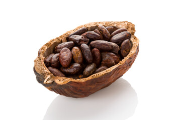 Fresh roasted cocoa beans in a cocoa pod on white background.