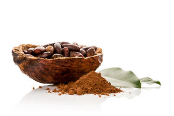 Cocoa powder and fresh roasted beans on white background.