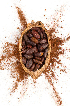 Fresh roasted cocoa beans on white background top view. © Eskymaks