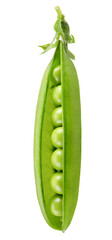 pea pod isolated on a white background