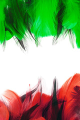 Feathers green and red on white background. Vertical photo.	