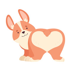 Welsh Corgi with Short Legs and Brown Coat Showing Bottom Vector Illustration