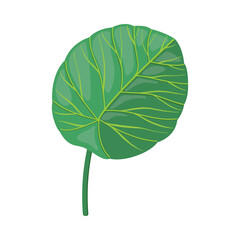 Tropical Leaf on Stem as Exotic Flora Vector Illustration