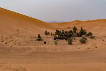 Fototapeta na wymiar Desert sand dune in Morocco