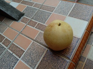 pear that has a yellow color on the outer skin