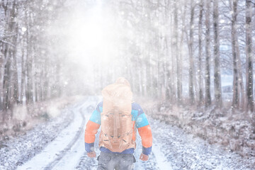 man traveler with a backpack in the forest, winter view in the american forest, north america...
