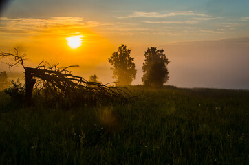 Naklejka premium morning fog over the lake. Sunlight through the forest