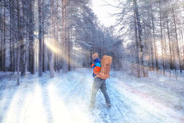 man traveler with a backpack in the forest, winter view in the american forest, north america...