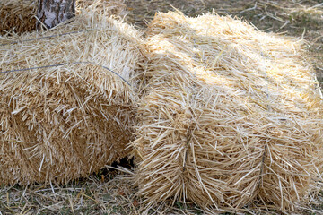  image of hay in the village close-up