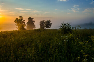 morning fog over the lake. Sunlight through the forest