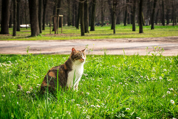 Parco Ducale, Parma