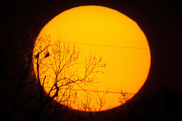 Big Sun telescope 900mm