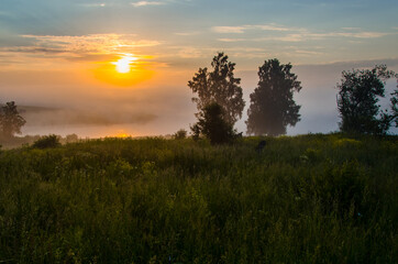 morning fog over the lake. Sunlight through the forest