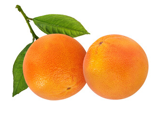 Fresh grapefruit isolated on white background  with clipping path