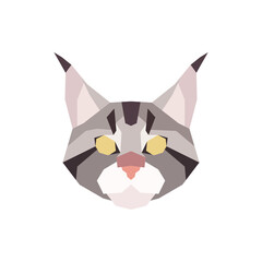 Low poly Maine Coon head. Vector illustration