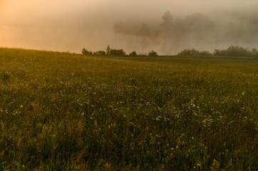 Obraz premium morning fog over the lake. Sunlight through the forest