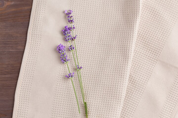 mini bouquet of fragrant lavender on a beige fabric background. simple flat composition, place for text