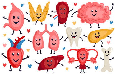 Cute internal organs. Healthy funny heart, stomach, lungs and brain, medicine human organs characters, biological organ vector illustration set. Healthy strong organs with happy faces