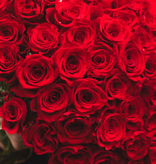 Flower composition. Macro photo. Wedding decor. A Beautiful bouquet of fresh spring flowers.