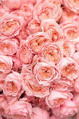 Flower composition. Macro photo. Wedding decor. A Beautiful bouquet of fresh spring flowers.