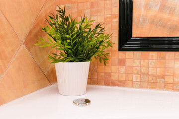 Interior of the bathroom. White pot with a plant stands near the Jacuzzi. The repair and reconstruction of apartments