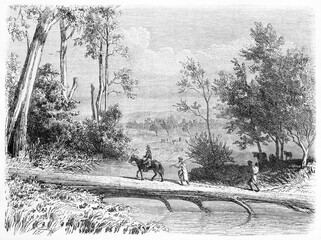 Small people crossing eucalyptus trunk footbridge in Dalry station, Victoria state, Australia. Ancient grey tone etching style art by Girardet and Gauchard, Le Tour du Monde, Paris, 1861