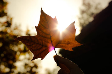 Otoño