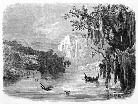 Calm waters surrounded by nature and big weeping willow in Glenelg river, Victoria state, Australia. Ancient grey tone etching style art by Francais and Pannemaker, Le Tour du Monde, Paris, 1861