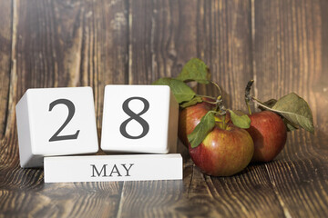 May 28. Day 28 of month. Calendar cube on wooden background with red apples, concept of business and an important event. Spring season.