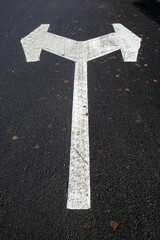 white directional arrow in parking lot