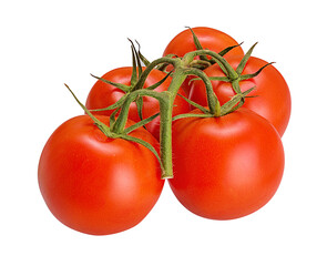 Fresh tomato isolated on white background with clipping path