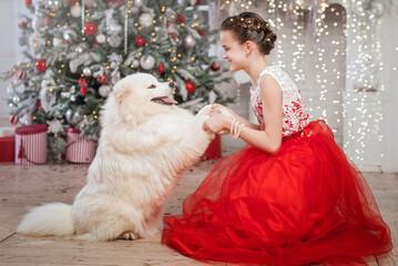 A girl in a smart dress holds a large white shaggy dog by the paws against the backdrop of the...