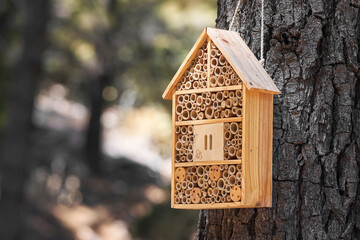 wooden box that serves as a house and hohar for insects in the field in a Mediterranean forest in Malaga. Spain