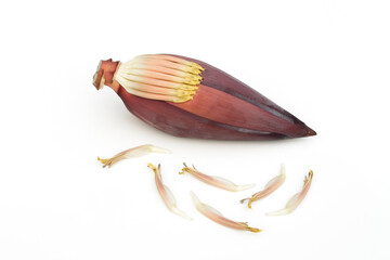 Banana flower on white background.