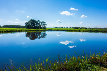 Obraz na płótnie Canvas Landscape with clouds reflecting in the pond 