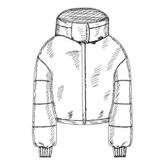 vector, isolated, sketch with lines womens jacket