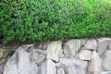 垣根と石垣