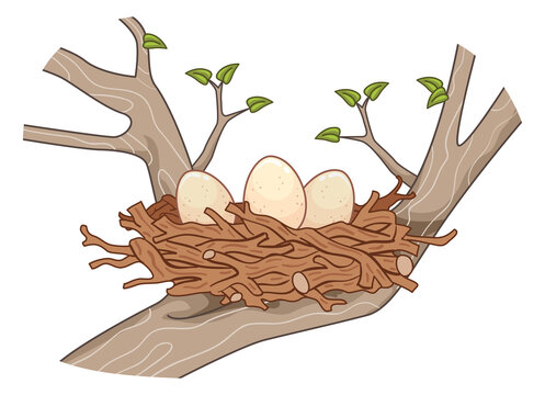 recommend clip art: Eggs Sticks Bird Nest Tree Illustration