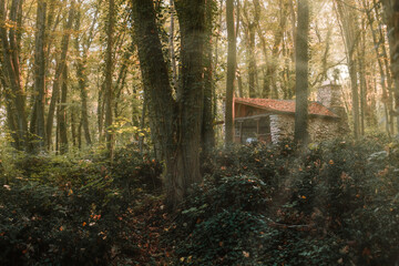 House in Golden Sands forest near Varna, Bulgaria. 