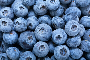 fresh blueberry as background