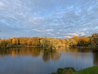Golden trees on the lake, autumn background