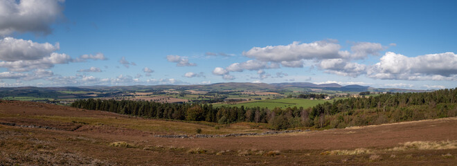 The Cheviots from above Rothbury