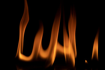Fire flames on black background.